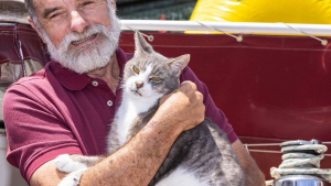 Illustration : Ce chat s'apprête à entrer dans l'histoire des courses nautiques en prenant part à une célèbre régate de 1200 km