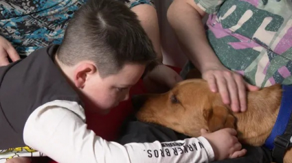 Illustration : Grâce à Peggy, son chien d’assistance, ce petit garçon autiste trouve à nouveau la force de sortir