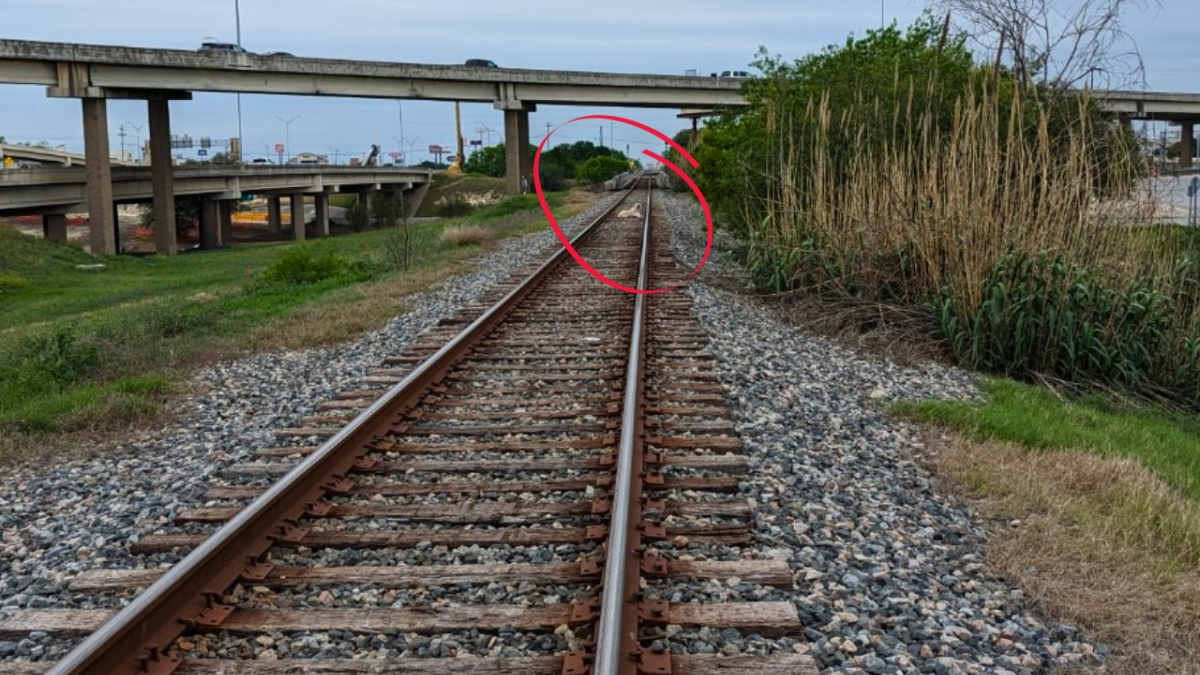Illustration : "Le sauvetage angoissant d’un Labrador coincé sur une voie ferrée tandis qu’un train approche"