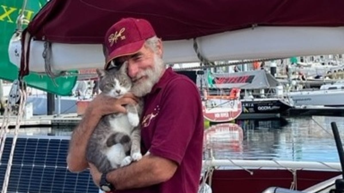 Illustration : "L'arrivée d'Oli, le chat star d'une célèbre course à la voile, attendue par des dizaines de personnes sur le quai"