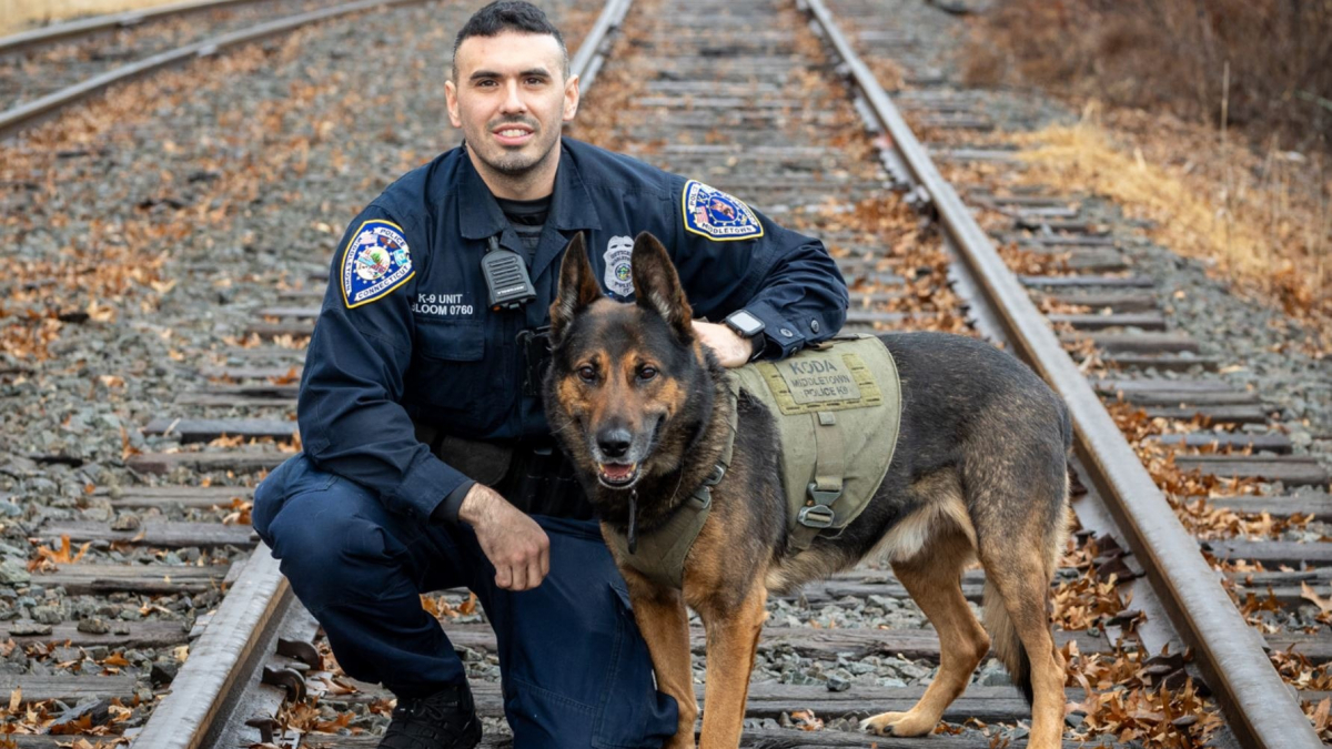 Illustration : "Après une belle carrière, un chien policier prend sa retraite avec panache"
