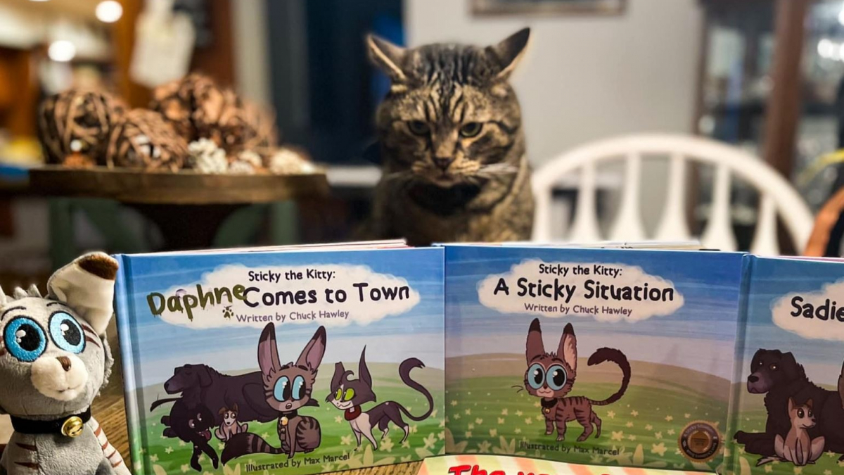 Illustration : "Après avoir été sauvé sur une route très fréquentée, Sticky le chat est devenu le héros d’une série de livres pour enfants"