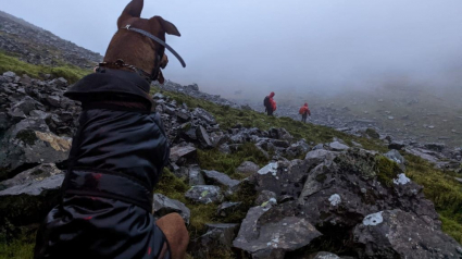 Illustration : Lors d’une randonnée en montagne, un croisé Dobermann/Malinois de 40 kg refuse d’avancer face au danger et provoque l'intervention des secours