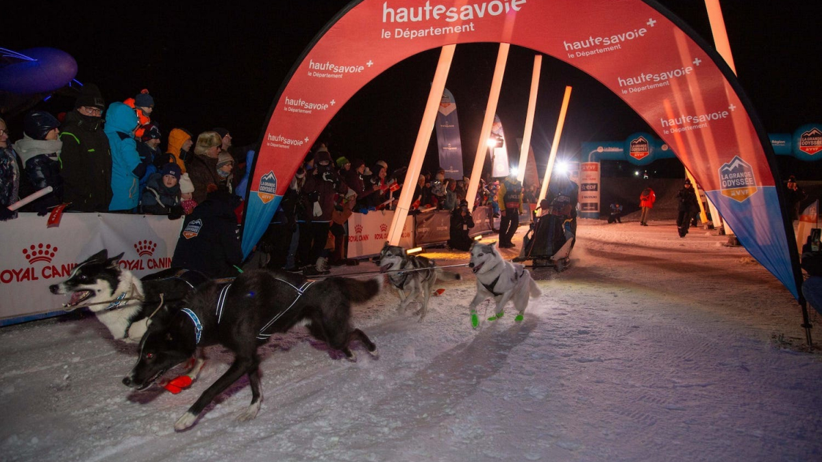 Illustration : "Le coup d'envoi de la course de chiens de traîneaux La Grande Odyssée VVF 2024 donné à Megève dans une ambiance festive"