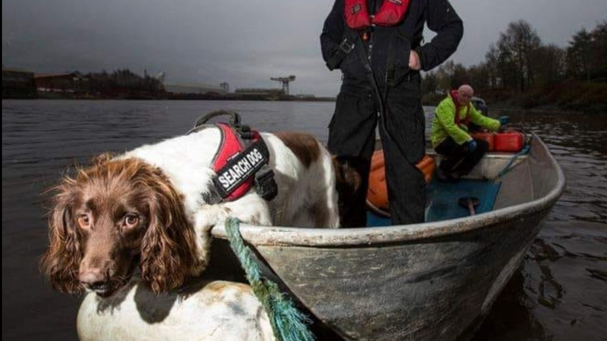 Illustration : "Découvrez Barra, le seul chien renifleur sous-marin d’Écosse ayant passé plus de 10 ans de sa vie à repérer les victimes d'une rivière"