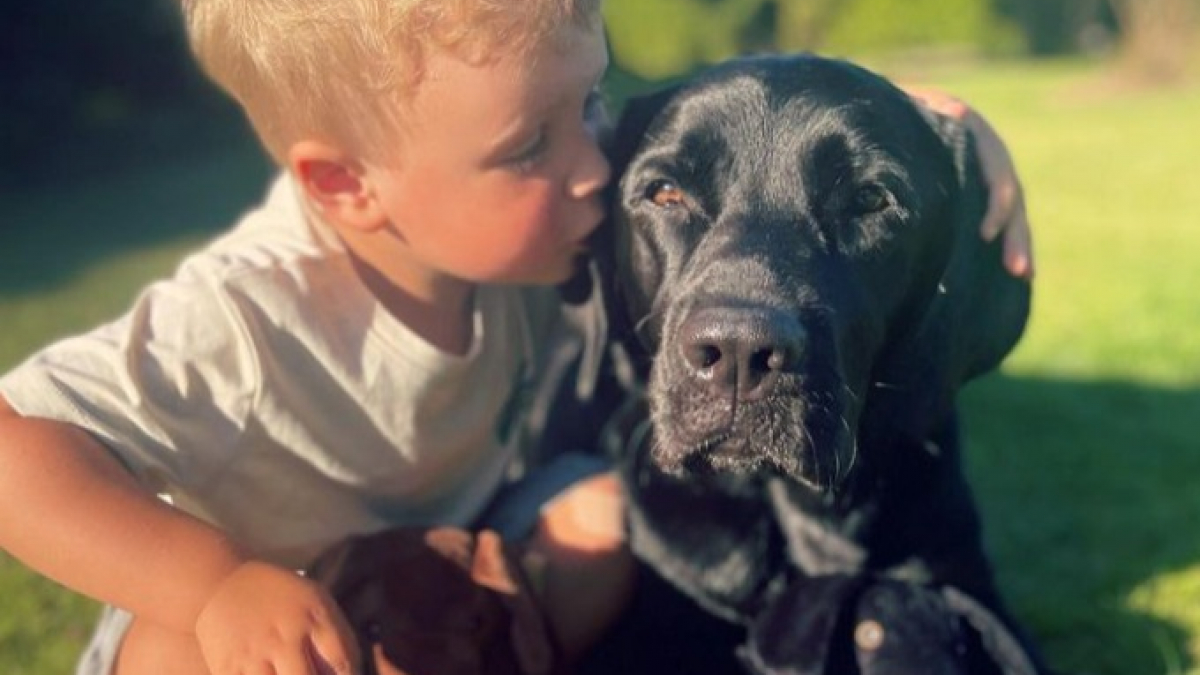 Illustration : "Un bébé apprend à marcher, s’asseoir et même dire « je t’aime » grâce au chien de la famille"