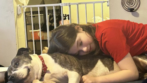 Illustration : Une femme apprend que son chien disparu vit désormais avec une autre famille et prend une décision déchirante