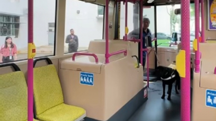 Illustration : La démarche pédagogique d'un malvoyant expliquant en vidéo comment son chien guide l'aide dans les transports