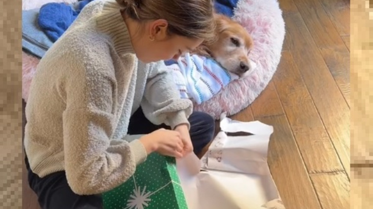 Illustration : "Elle fond en larmes en déballant le cadeau offert par sa soeur lors du dernier Noël de leur chien (vidéo)"