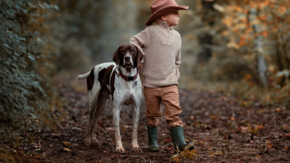 Illustration : "15 photos merveilleuses, montrant à quel point l’amitié entre les enfants et leurs compagnons à 4 pattes peut être belle"