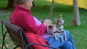 Illustration : Une femme fortunée propriétaire de chiens et de chats surprend sa famille par le contenu de son testament