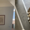 Illustration : Ce chat a droit à son propre salon inspiré de celui de ses propriétaires et il a de quoi faire des jaloux (vidéo)
