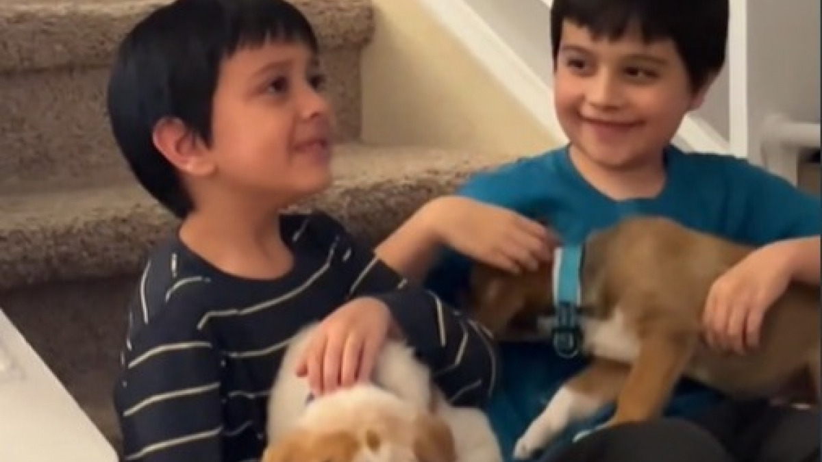Illustration : "L’émotion de 2 enfants comprenant que les chiens qu’ils avaient accueillis temporairement resteraient avec eux pour toujours (vidéo)"