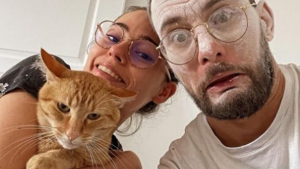 Illustration : Ce chat en fait voir de toutes les couleurs à ses propriétaires en plein chantier et ses facéties deviennent virales (vidéo)