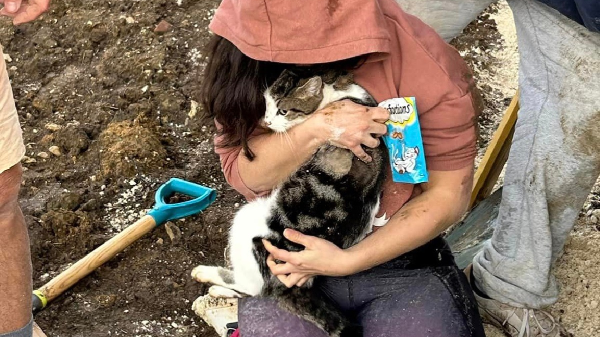 Illustration : "Un mois après avoir perdu son chat, elle passe avec son chien devant une maison voisine en chantier et y entend des miaulements "