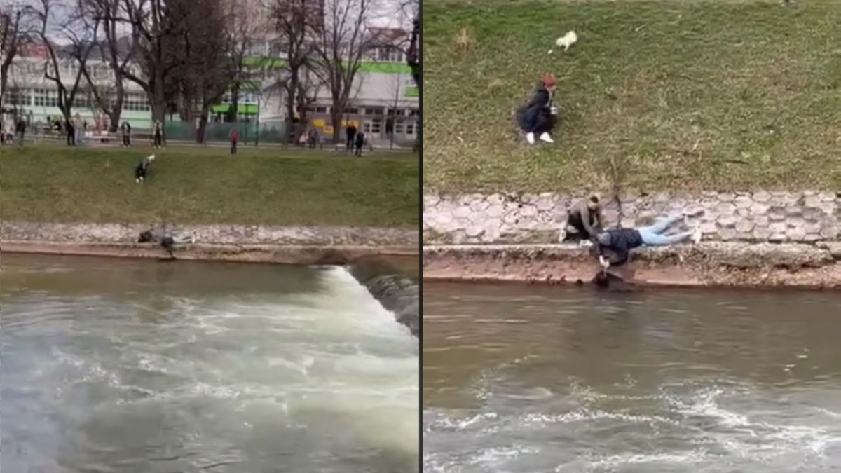 Illustration : "Un chien piégé par les eaux froides et tumultueuses d'une rivière réalise qu'il peut encore s'en sortir en voyant 2 personnes approcher"
