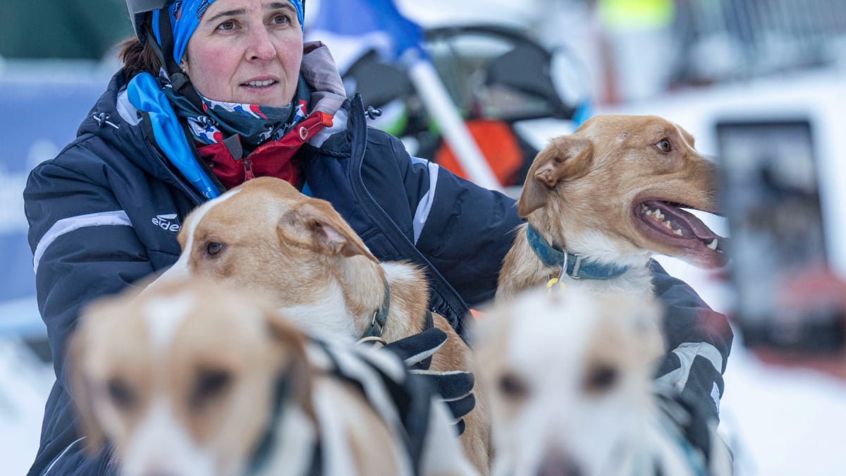 Illustration : "Entretien avec la musheuse Elsa Borgey : « Mes chiens sont mes amis, mes confidents et mes partenaires d’aventures »"