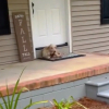 Illustration : Abandonné à 2 reprises, ce chien suit son instinct et choisit lui-même sa maison 