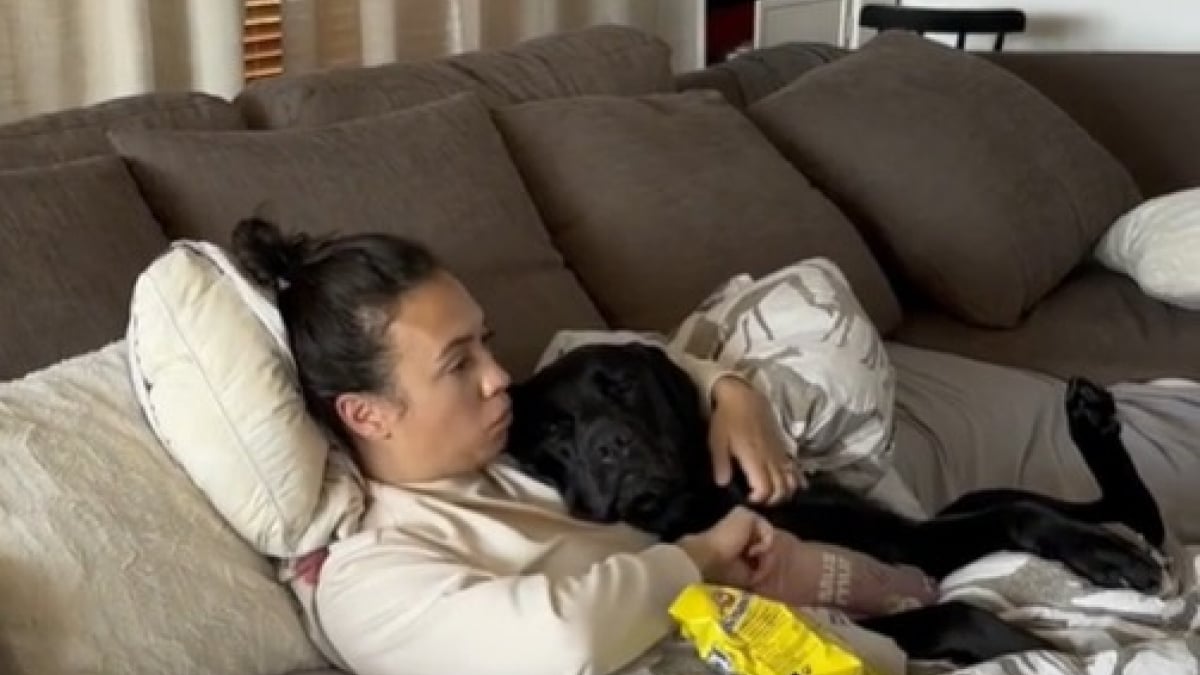Illustration : "Une femme prend crée une journée spéciale pour rester aux côtés de son Labrador souffrant (vidéo)"