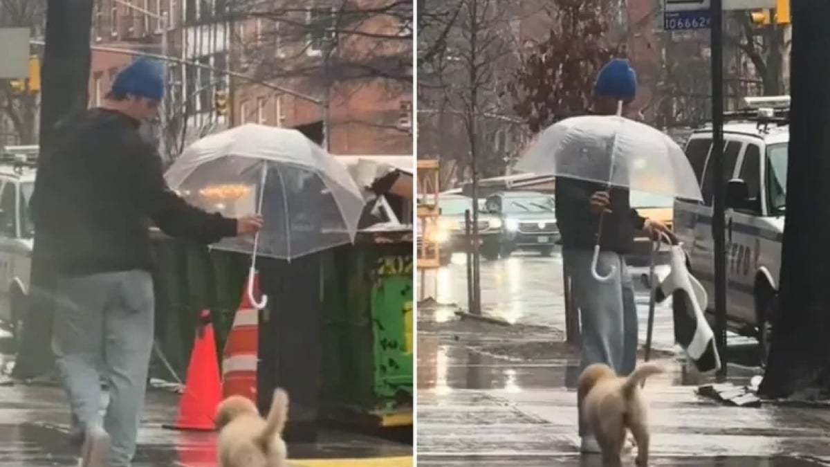 Illustration : "Un jeune homme protégeant son chiot Golden Retriever d’une averse avec un parapluie séduit de nombreuses femmes bien décidées à le retrouver (vidéo)"