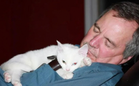 16 photos qui prouvent que les chats sont prêts à tout pour vous toucher en plein coeur