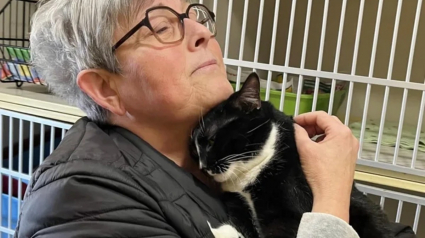 Illustration : La rencontre entre une femme endeuillée et ce chat pensionnaire d'un refuge qui attend sa chance depuis 1 an