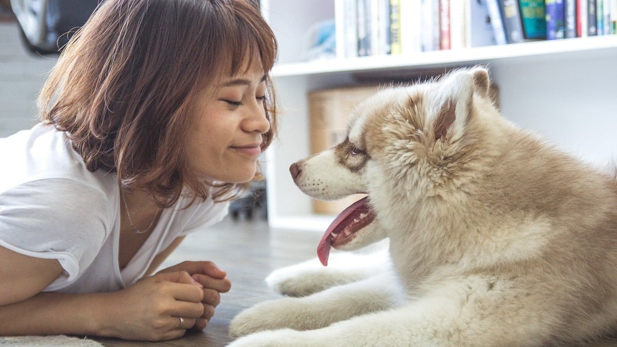 Illustration : "Les avantages insoupçonnés des chiens et des chats pour la santé de leurs propriétaires"