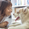 Illustration : Les avantages insoupçonnés des chiens et des chats pour la santé de leurs propriétaires