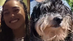 Illustration : La disparition d'un chien et de sa maîtresse débouche sur une double bonne nouvelle 2 semaines plus tard au terme d'un quiproquo invraisemblable