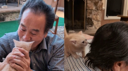 Illustration : La démarche touchante d'un homme déterminé à conquérir le cœur d'un chaton par un étonnant rituel vestimentaire (vidéo)