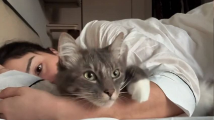 Illustration : En cherchant la raison de son manque de sommeil, la maîtresse de ce chat ne s’attendait pas à découvrir une explication aussi attendrissante (vidéo)