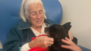 Illustration : L'état d’une femme de 93 ans change radicalement après le passage de sa chienne à l’hôpital