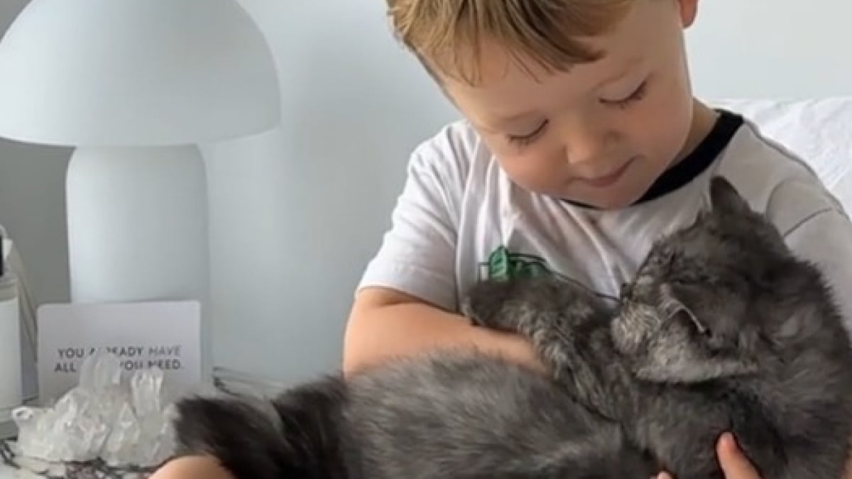 Illustration : "Ce garçon et son chat ont une activité préférée adorable et poétique (vidéo)"