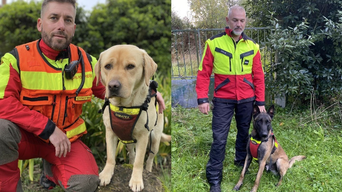 Illustration : "2 chiens pompiers unissent leurs talents dans une course contre la montre pour retrouver un quinquagénaire disparu depuis des heures"