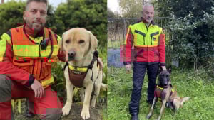Illustration : 2 chiens pompiers unissent leurs talents dans une course contre la montre pour retrouver un quinquagénaire disparu depuis des heures