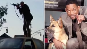 Illustration : L’acteur Will Smith rend un doux hommage à Abbey, l’inoubliable Berger Allemand du film Je suis une Légende (vidéo)