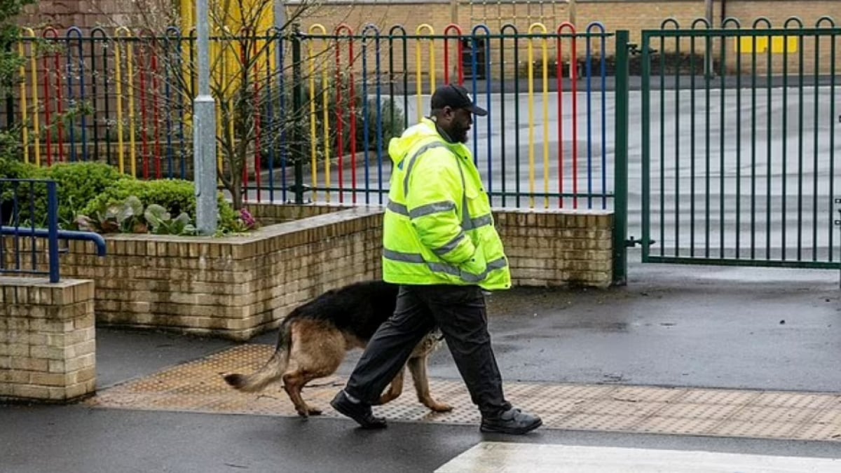 Illustration : "Pour protéger une école victime d’incivilités, les chefs de l’établissement ont recruté un chien redoutable"
