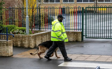 Pour protéger une école victime d’incivilités, les chefs de l’établissement ont recruté un chien redoutable