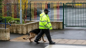 Illustration : Pour protéger une école victime d’incivilités, les chefs de l’établissement ont recruté un chien redoutable