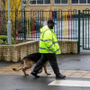 Illustration : Pour protéger une école victime d’incivilités, les chefs de l’établissement ont recruté un chien redoutable