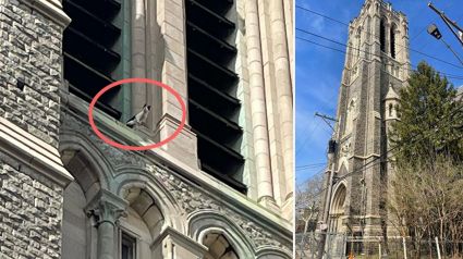 Illustration : Coincé dans le clocher d’une église, un chat espère attirer l'attention et l'aide de ces ouvriers qui s'occupe de la rénovation du monument