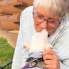 Illustration : Piglet le célèbre chien sourd et muet vit une rencontre émouvante avec une "fan" qu'il a aidée à se ressaisir au moment où elle était au plus bas
