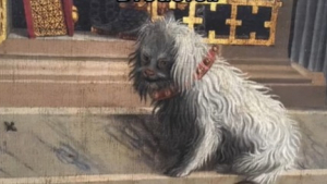 Illustration : Une femme dévoile les prénoms hilarants donnés aux chiens au Moyen Âge (vidéo)