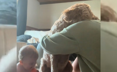 Le moment touchant où un chien se sentant délaissé après l'arrivée du bébé tombe dans les bras de sa maîtresse prise de remords (vidéo)