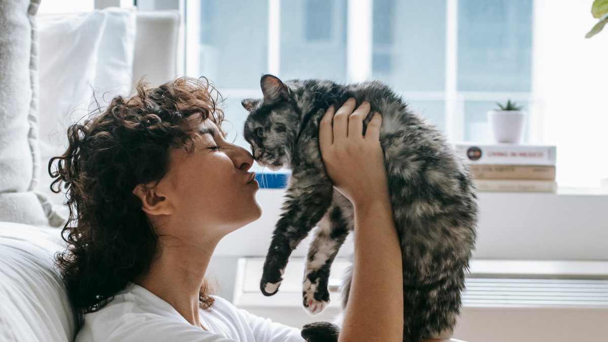 Illustration : "Et si nous ne connaissions pas vraiment nos chats ? Une étude récente prouve que nous en avons encore beaucoup à apprendre sur leur espèce "