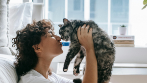 Illustration : "Et si nous ne connaissions pas vraiment nos chats ? Une étude récente prouve que nous en avons encore beaucoup à apprendre sur leur espèce "