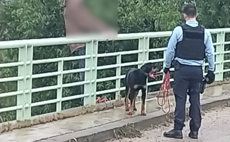 Un homme désemparé s’apprête à commettre l’irréparable, mais recule en voyant son chien avec les gendarmes