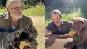 Illustration : L'acteur Chris Pine ouvre les portes de son foyer à 2 chiens de refuge pour les aider à prendre un nouveau départ