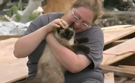 Après avoir disparu pendant une tornade, ce chat retrouve miraculeusement sa maîtresse lors d’une émission télévisée en direct (vidéo)