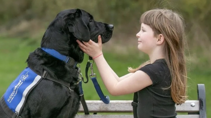 Illustration : Une jeune fille autiste se mettait constamment en danger jusqu’à ce qu’un chien d’assistance entre dans sa vie